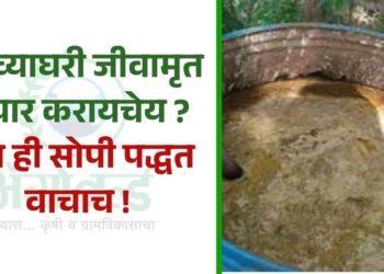 Jivamrut kase banvave