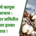 आजचे कापूस बाजारभाव : या बाजार समितीत मिळाला इतका भाव !