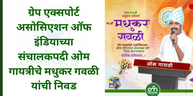 ग्रेप एक्सपोर्ट असोसिएशन ऑफ इंडियाच्या संचालकपदी ओम गायत्रीचे मधुकर गवळी यांची निवड