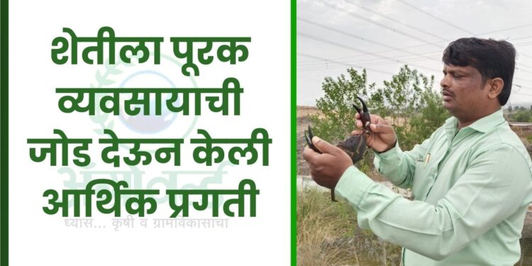 शेतीला पूरक व्यवसायाची जोड