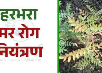 harbhara mar rog niyantran