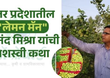 उत्तर प्रदेशातील “लेमन मॅन” ; आनंद मिश्रा यांची यशस्वी कथा