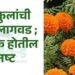 Agri Tips