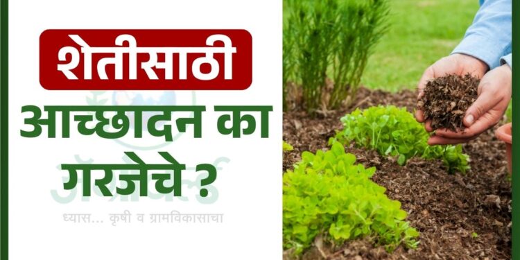 Agricultural cover