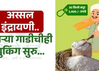 अस्सल इंद्रायणी