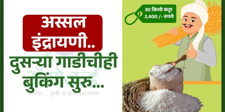 अस्सल इंद्रायणी