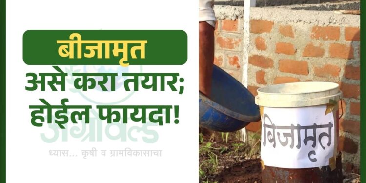 बीजामृत