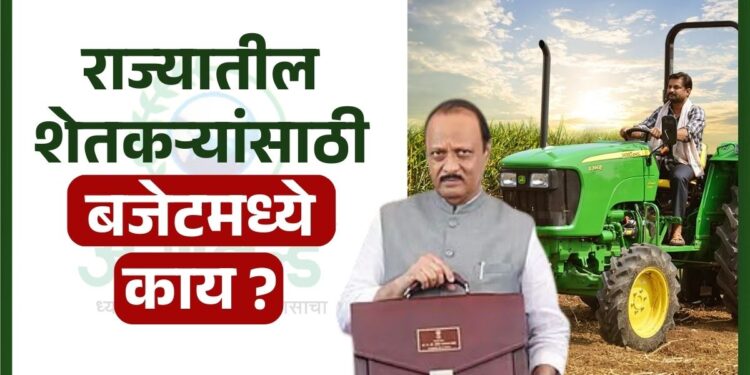 राज्यातील शेतकऱ्यांसाठी बजेटमध्ये काय ?