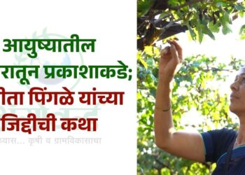 आयुष्यातील अंधारातून प्रकाशाकडे ; संगीता पिंगळे यांच्या जिद्दीची कथा