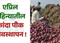 एप्रिल महिन्यातील कांदा पीक व्यवस्थापन !