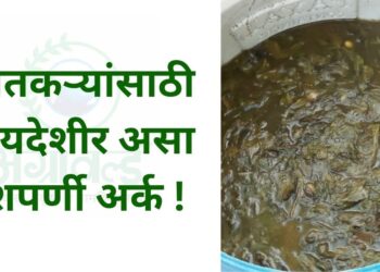 शेतकऱ्यांसाठी फायदेशीर असा दशपर्णी अर्क !