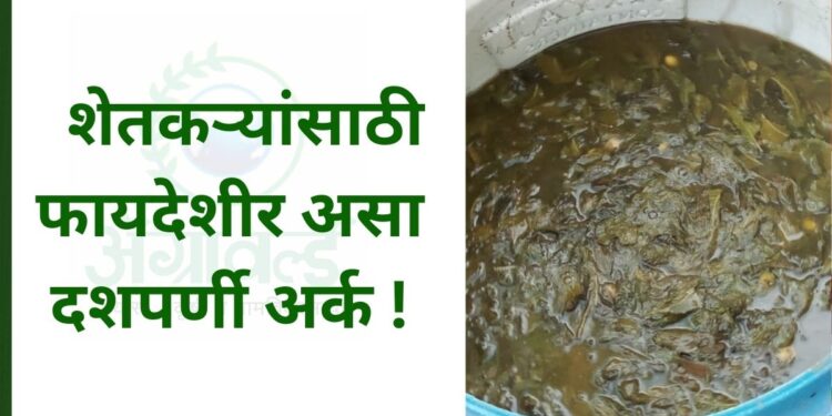 शेतकऱ्यांसाठी फायदेशीर असा दशपर्णी अर्क !