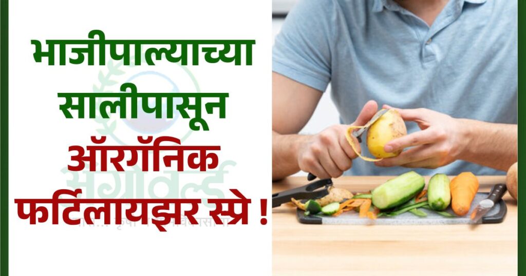 भाजीपाल्याच्या सालीपासून ऑरगॅनिक फर्टिलायझर स्प्रे