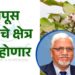 कापूस