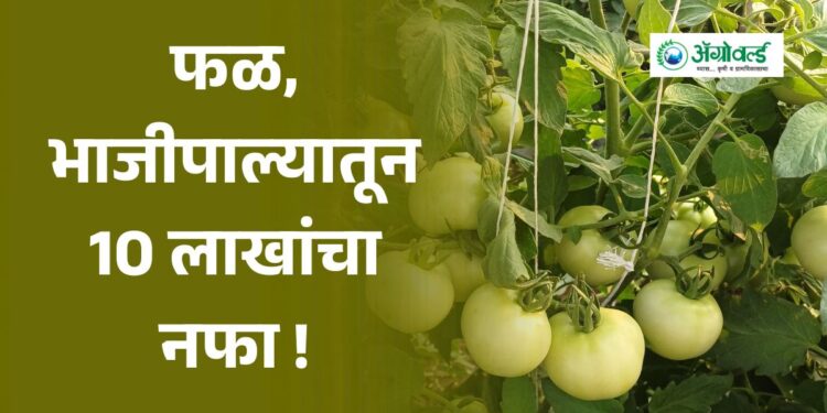 फळ, भाजीपाल्यातून 10 लाखांचा नफा !