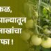 फळ, भाजीपाल्यातून 10 लाखांचा नफा !