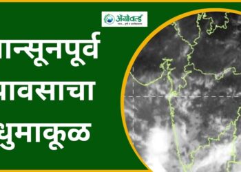 मान्सूनपूर्व पावसाचा धुमाकूळ