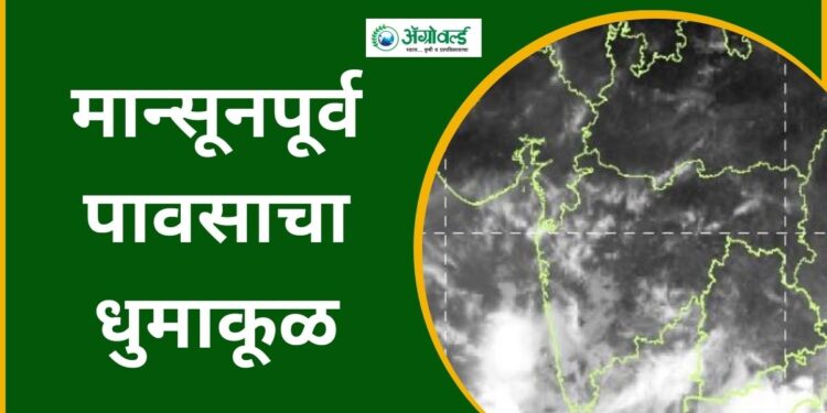 मान्सूनपूर्व पावसाचा धुमाकूळ