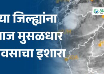 या जिल्ह्यांना आज मुसळधार पावसाचा इशारा