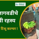 केळी लागवडीचे यशस्वी रहस्य