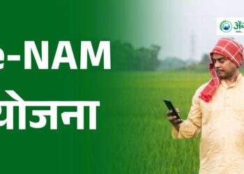 e-NAM योजना