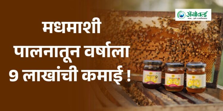 मधमाशी पालनातून वर्षाला 9 लाखांची कमाई !