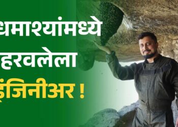 कॉर्पोरेट जग सोडून मधमाश्यांमध्ये हरवलेला इंजिनीअर !