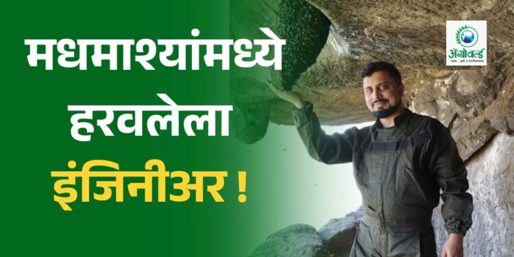कॉर्पोरेट जग सोडून मधमाश्यांमध्ये हरवलेला इंजिनीअर !