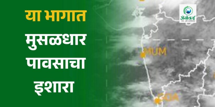 या भागात मुसळधार पावसाचा इशारा