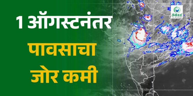 1 ऑगस्टनंतर पावसाचा जोर कमी..!