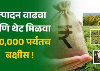 उत्पादन वाढवा आणि थेट मिळवा