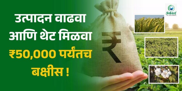 उत्पादन वाढवा आणि थेट मिळवा