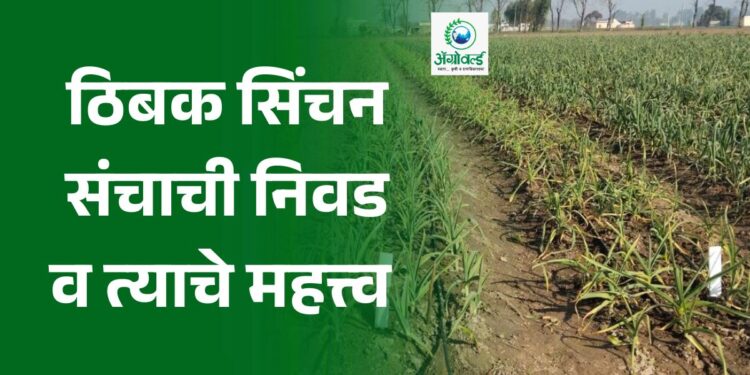 ठिबक सिंचन संचाची निवड व त्याचे महत्त्व