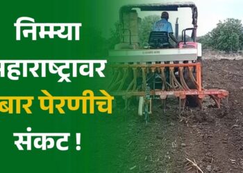 निम्म्या महाराष्ट्रावर दुबार पेरणीचे संकट!.. ; पहा तुमचा जिल्हा यात आहे का ?