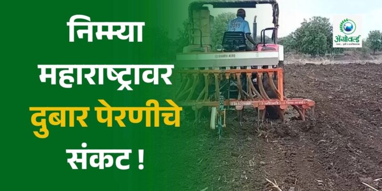निम्म्या महाराष्ट्रावर दुबार पेरणीचे संकट!.. ; पहा तुमचा जिल्हा यात आहे का ?