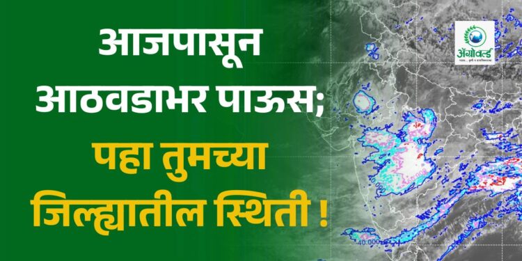 आजपासून आठवडाभर पाऊस; पहा तुमच्या जिल्ह्यातील स्थिती !