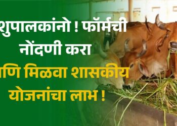 पशुपालक