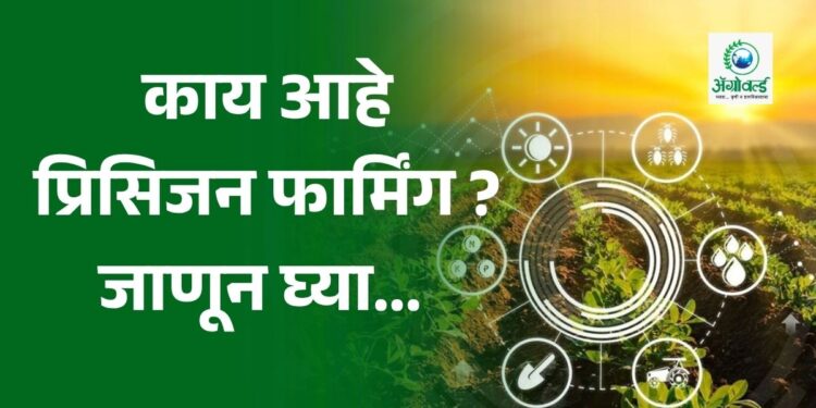 प्रिसिजन फार्मिंग
