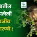 Wonder India : ही आहेत भारतातील 6 लपलेली वन्यजीव अभयारण्ये !