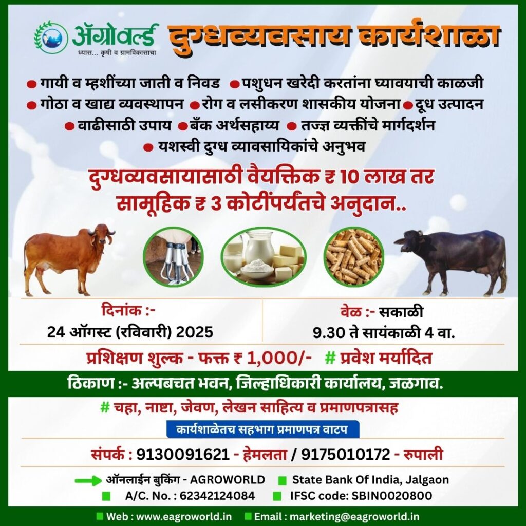 Dairy Workshop (