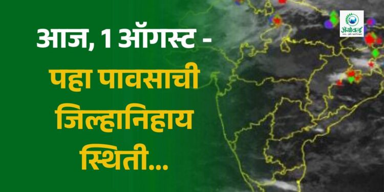 आज, 1 ऑगस्ट – पावसाची जिल्हानिहाय स्थिती…