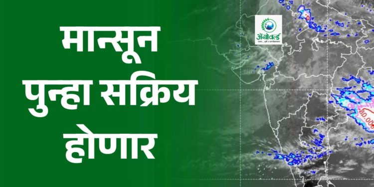 मान्सून पुन्हा सक्रिय होणार