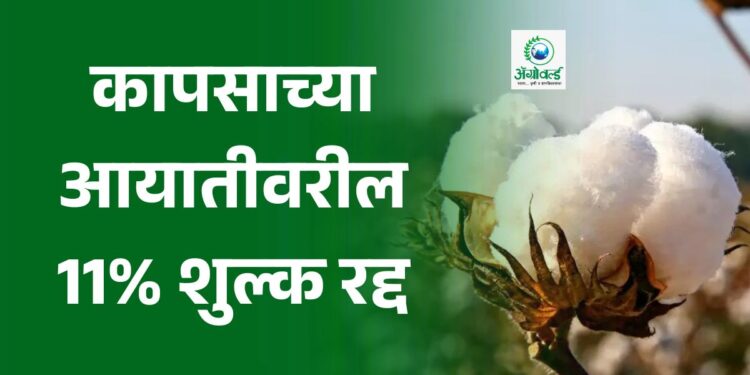 कापसाच्या आयातीवरील 11% शुल्क रद्द