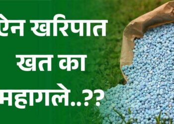 ऐन खरिपात खत का महागले..??