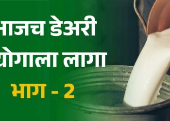 आजच डेअरी उद्योगाला लागा