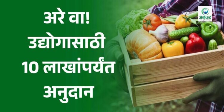 उद्योगासाठी 10 लाखांपर्यंत अनुदान