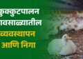 कुक्कुटपालन – पावसाळ्यातील व्यवस्थापन आणि निगा