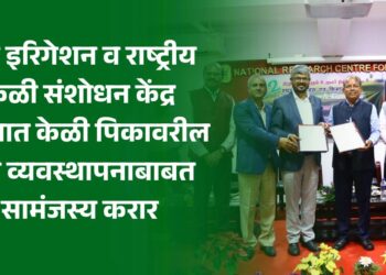 जैन इरिगेशन