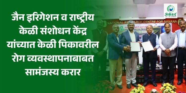 जैन इरिगेशन