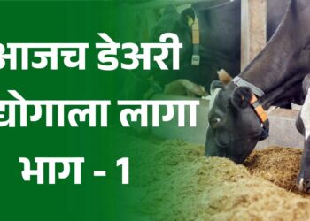 डेअरी उद्योगाला लागा